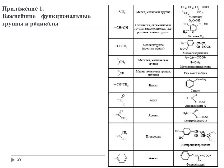 Приложение 1. Важнейшие функциональные группы и радикалы