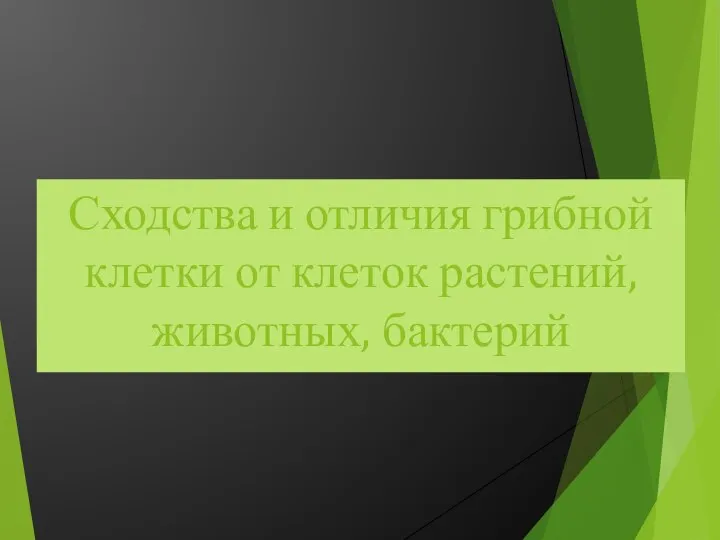 Сходства и отличия грибной клетки от клеток растений, животных, бактерий