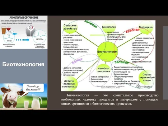 Биотехнология Биотехнология — это сознательное производство необходимых человеку продуктов и материалов с