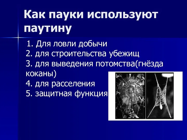 Как пауки используют паутину 1. Для ловли добычи 2. для строительства убежищ