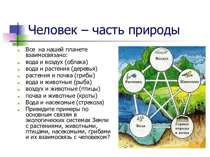 Человек – часть природы Все на нашей планете взаимосвязано: вода и воздух