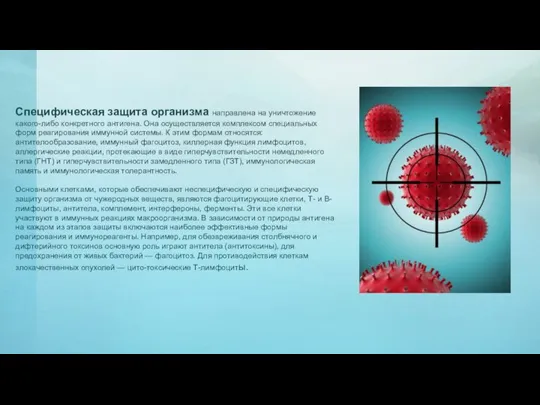 Специфическая защита организма направлена на уничтожение какого-либо конкретного антигена. Она осуществляется комплексом