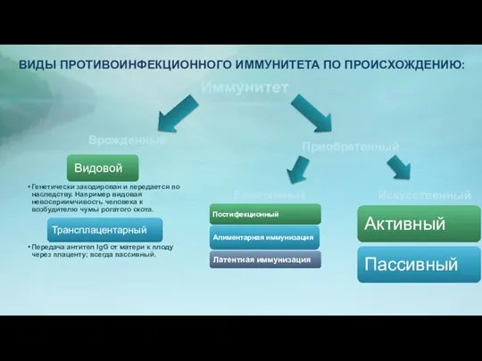 ВИДЫ ПРОТИВОИНФЕКЦИОННОГО ИММУНИТЕТА ПО ПРОИСХОЖДЕНИЮ: Иммунитет Врожденный Приобретенный Естественный Искусственный