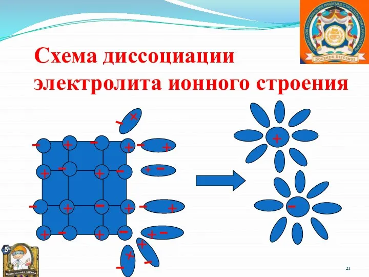 Схема диссоциации электролита ионного строения + + + + + + +