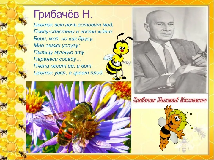 Грибачёв Н. Цветок всю ночь готовит мед, Пчелу-сластену в гости ждет: Бери,