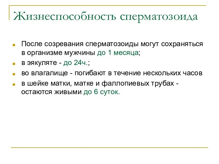 Жизнеспособность сперматозоида После созревания сперматозоиды могут сохраняться в организме мужчины до 1