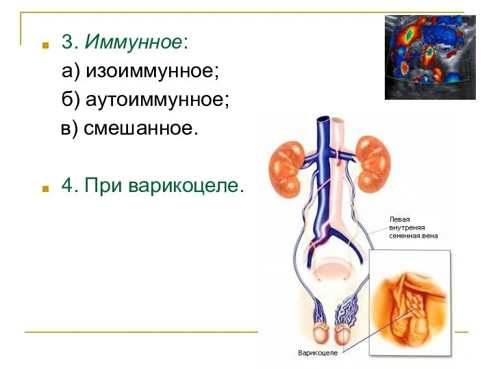 3. Иммунное: а) изоиммунное; б) аутоиммунное; в) смешанное. 4. При варикоцеле.