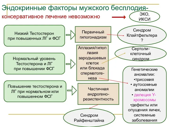 Эндокринные факторы мужского бесплодия- консервативное лечение невозможно Низкий Тестостерон при повышенных ЛГ