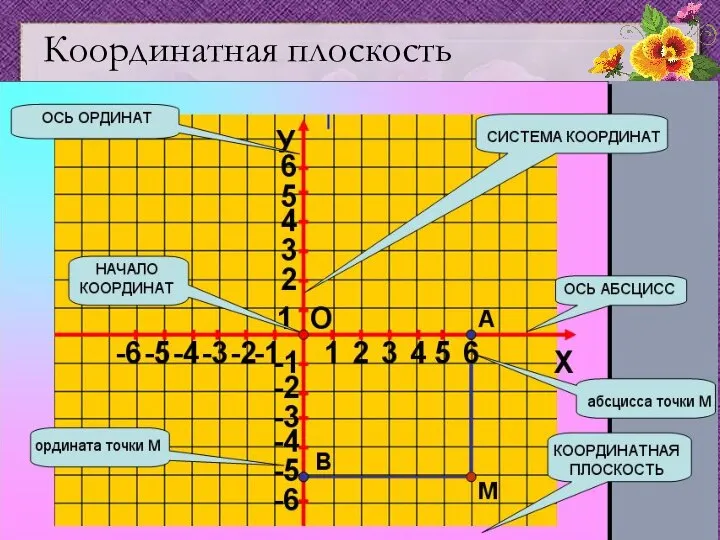 Координатная плоскость