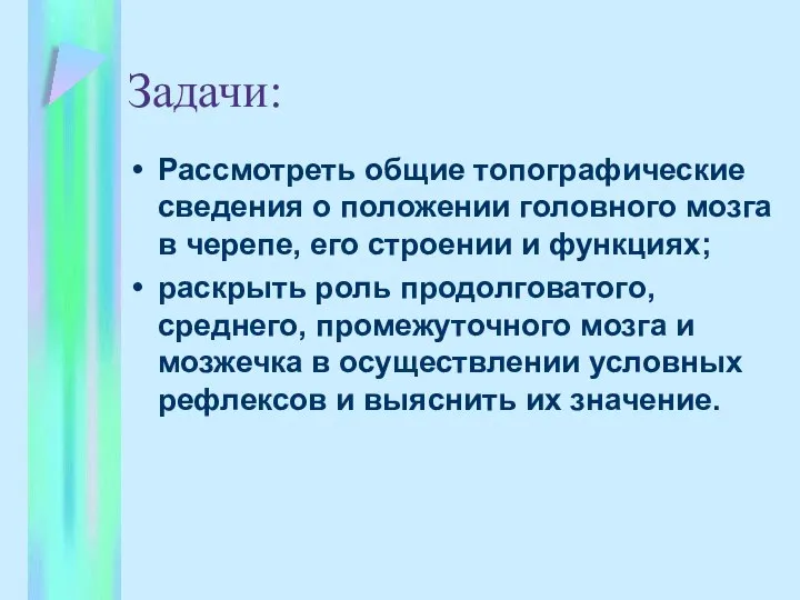 Задачи: Рассмотреть общие топографические сведения о положении головного мозга в черепе, его