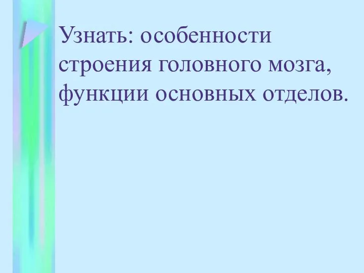 Узнать: особенности строения головного мозга, функции основных отделов.