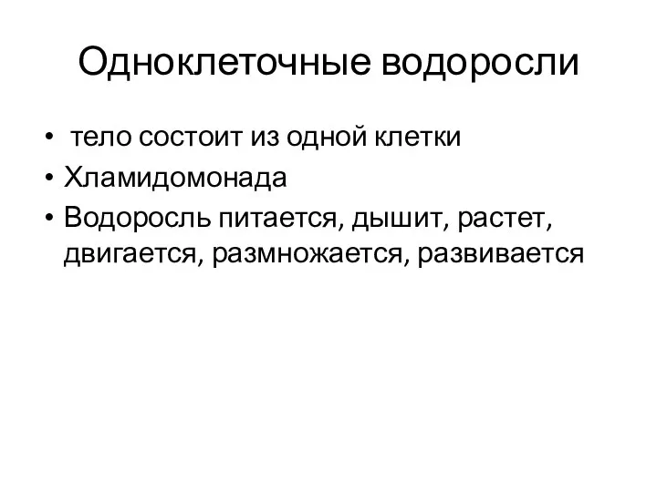 Одноклеточные водоросли тело состоит из одной клетки Хламидомонада Водоросль питается, дышит, растет, двигается, размножается, развивается