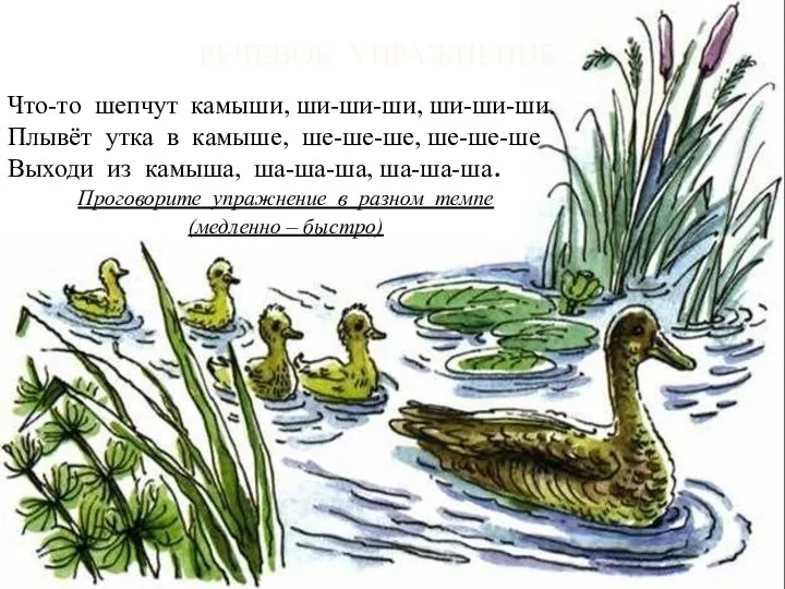 РЕЧЕВОЕ УПРАЖНЕНИЕ Что-то шепчут камыши, ши-ши-ши, ши-ши-ши. Плывёт утка в камыше, ше-ше-ше,