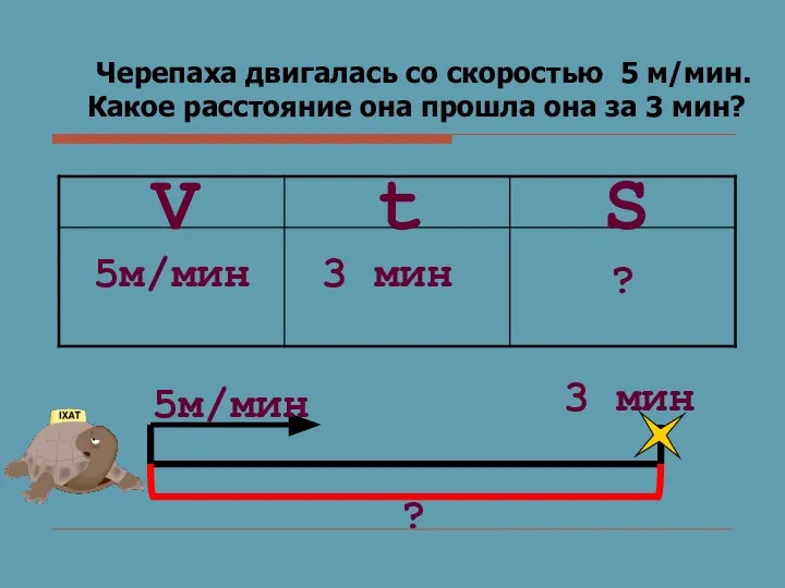 Черепаха двигалась со скоростью 5 м/мин. Какое расстояние она прошла она за