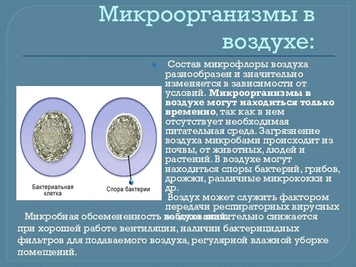 Микроорганизмы в воздухе: Состав микрофлоры воздуха разнообразен и значительно изменяется в зависимости