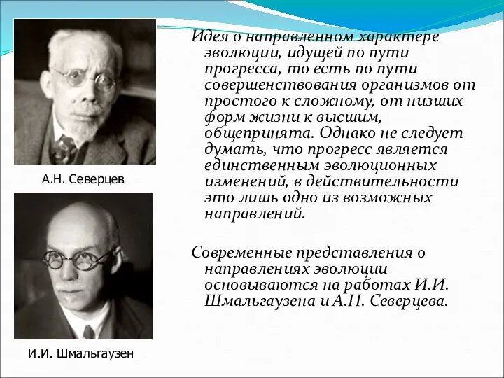 Идея о направленном характере эволюции, идущей по пути прогресса, то есть по