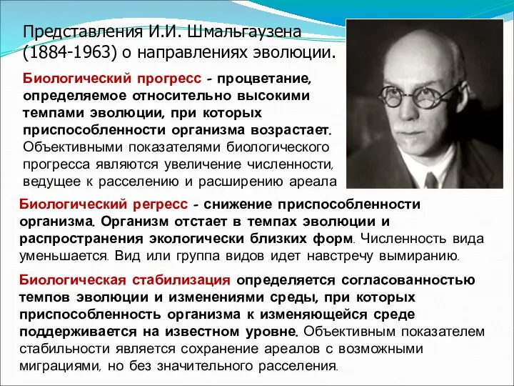 Представления И.И. Шмальгаузена (1884-1963) о направлениях эволюции. Биологический прогресс – процветание, определяемое