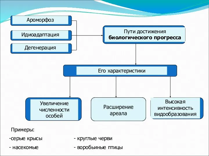 Примеры: серые крысы - круглые черви насекомые - воробьиные птицы