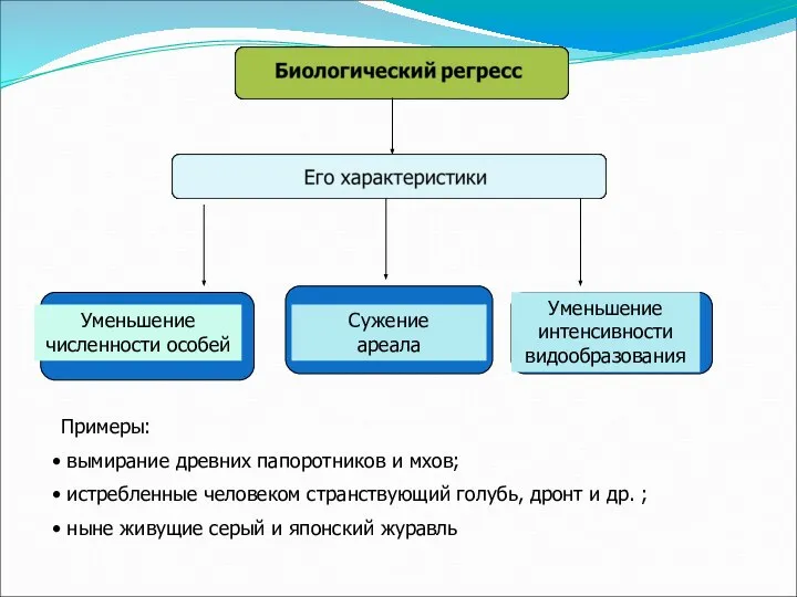 Примеры: вымирание древних папоротников и мхов; истребленные человеком странствующий голубь, дронт и