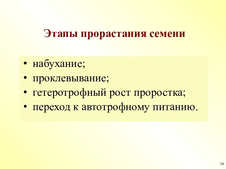 Этапы прорастания семени набухание; проклевывание; гетеротрофный рост проростка; переход к автотрофному питанию.