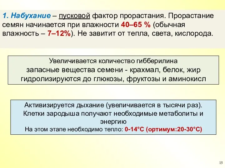 1. Набухание – пусковой фактор прорастания. Прорастание семян начинается при влажности 40–65