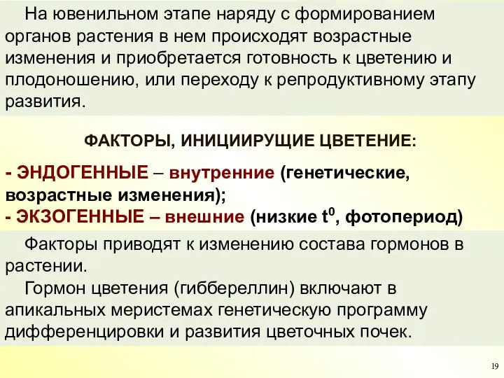 ФАКТОРЫ, ИНИЦИИРУЩИЕ ЦВЕТЕНИЕ: На ювенильном этапе наряду с формированием органов растения в