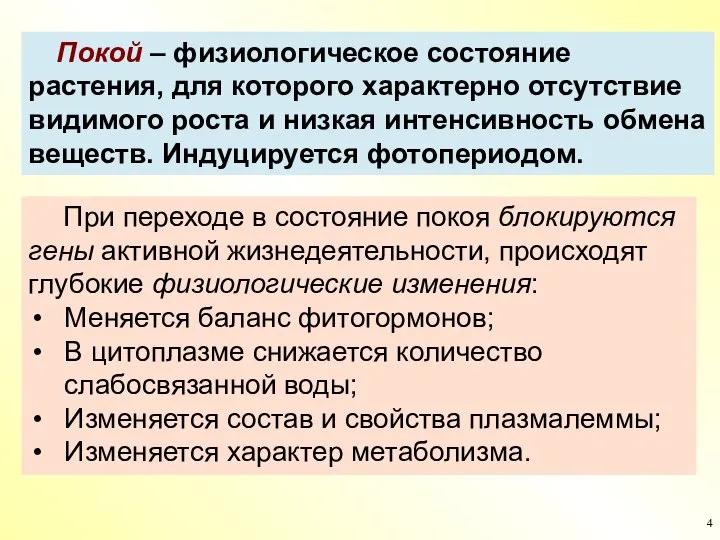 Покой – физиологическое состояние растения, для которого характерно отсутствие видимого роста и