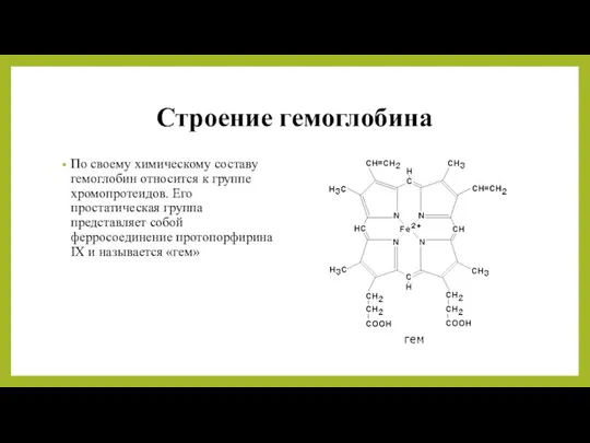 Строение гемоглобина По своему химическому составу гемоглобин относится к группе хромопротеидов. Его