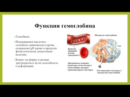 Функции гемоглобина Газообмен; Поддержании кислотно-основного равновесия в крови, cохранение pH крови в