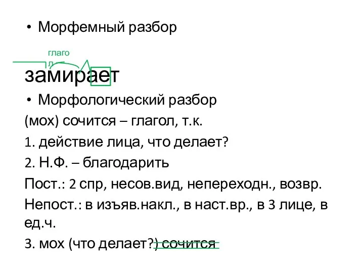 Морфемный разбор замирает Морфологический разбор (мох) сочится – глагол, т.к. 1. действие