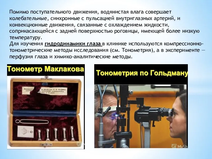 Помимо поступательного движения, водянистая влага совершает колебательные, синхронные с пульсацией внутриглазных артерий,