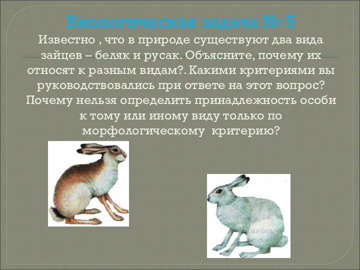 Биологическая задача № 5 Известно , что в природе существуют два вида