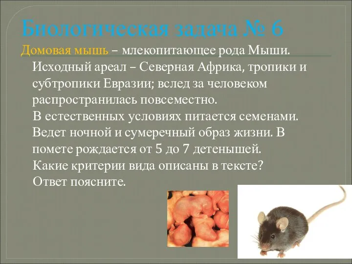 Биологическая задача № 6 Домовая мышь – млекопитающее рода Мыши. Исходный ареал
