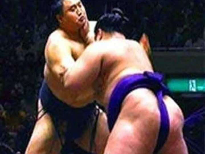Сумо – традиционный национальный вид спорта в Японии и одна из разновидностей боевых искусств