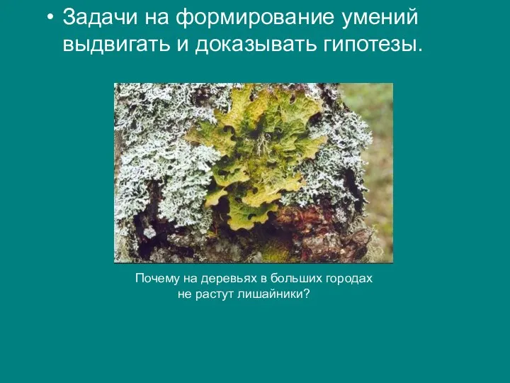 Задачи на формирование умений выдвигать и доказывать гипотезы. Почему на деревьях в