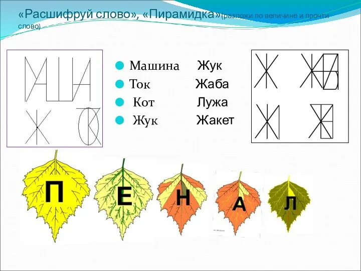 «Расшифруй слово», «Пирамидка»(разложи по величине и прочти слово) Машина Жук Ток Жаба Кот Лужа Жук Жакет