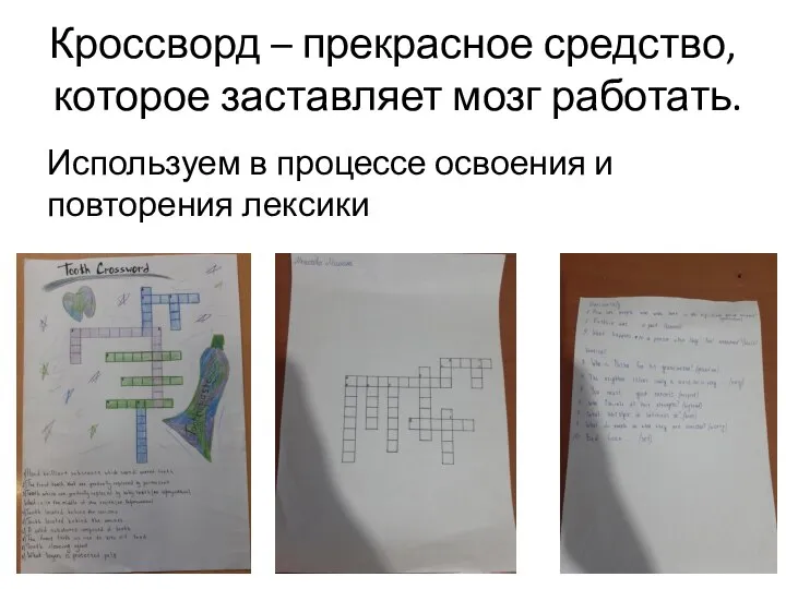 Кроссворд – прекрасное средство, которое заставляет мозг работать. Используем в процессе освоения и повторения лексики