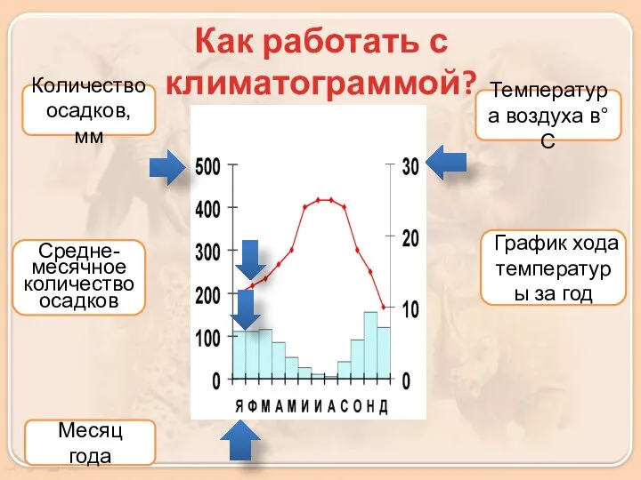 Как работать с климатограммой? Количество осадков, мм Температура воздуха в°С Месяц года