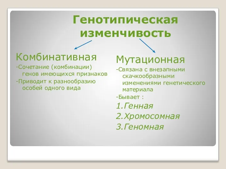 Генотипическая изменчивость Комбинативная -Сочетание (комбинации) генов имеющихся признаков -Приводит к разнообразию особей