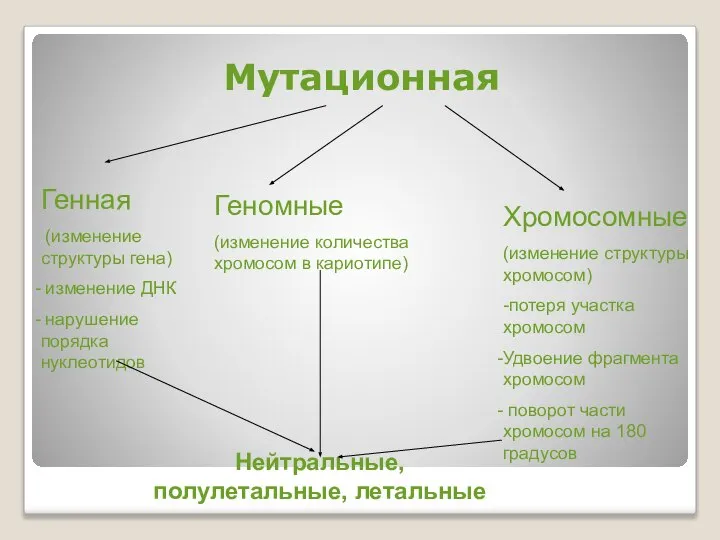 Мутационная Генная (изменение структуры гена) изменение ДНК нарушение порядка нуклеотидов Геномные (изменение