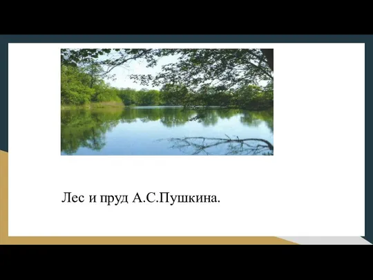 Лес и пруд А.С.Пушкина.