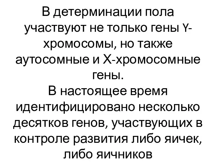 В детерминации пола участвуют не только гены Y-хромосомы, но также аутосомные и