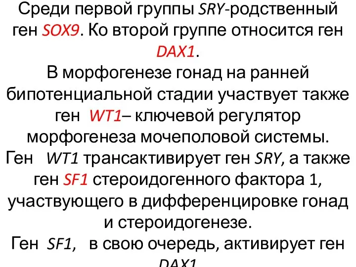 Среди первой группы SRY-родственный ген SOX9. Ко второй группе относится ген DAX1.