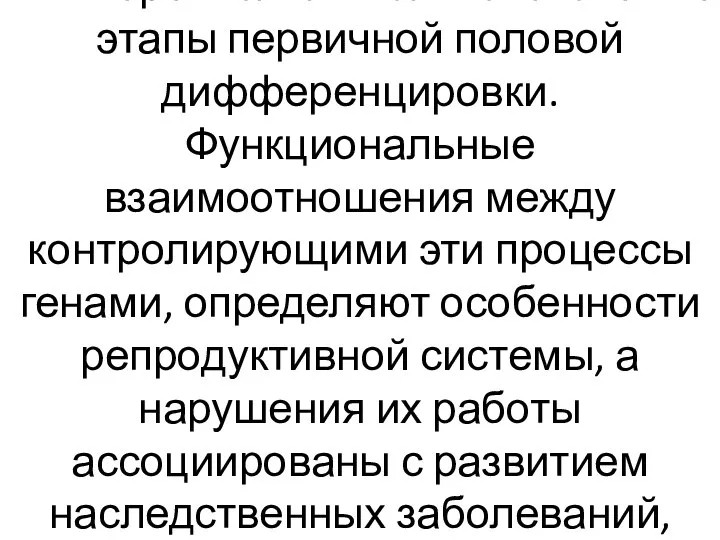 Мы перечислили только ключевые этапы первичной половой дифференцировки. Функциональные взаимоотношения между контролирующими