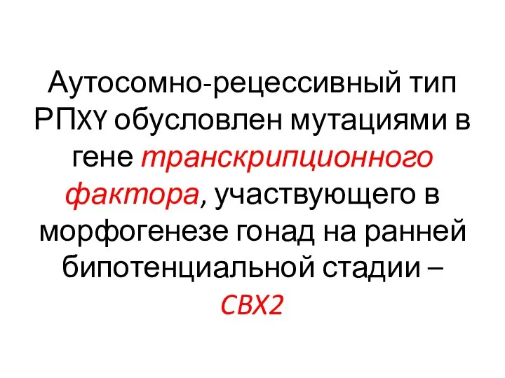 Аутосомно-рецессивный тип РПXY обусловлен мутациями в гене транскрипционного фактора, участвующего в морфогенезе