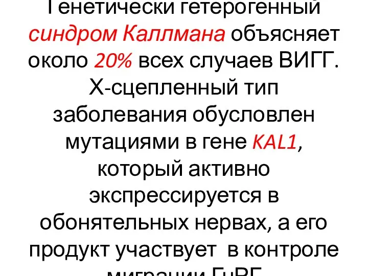 Генетически гетерогенный синдром Каллмана объясняет около 20% всех случаев ВИГГ. Х-сцепленный тип