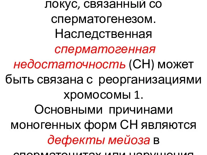 Конечно, AZF – не единственный локус, связанный со сперматогенезом. Наследственная сперматогенная недостаточность