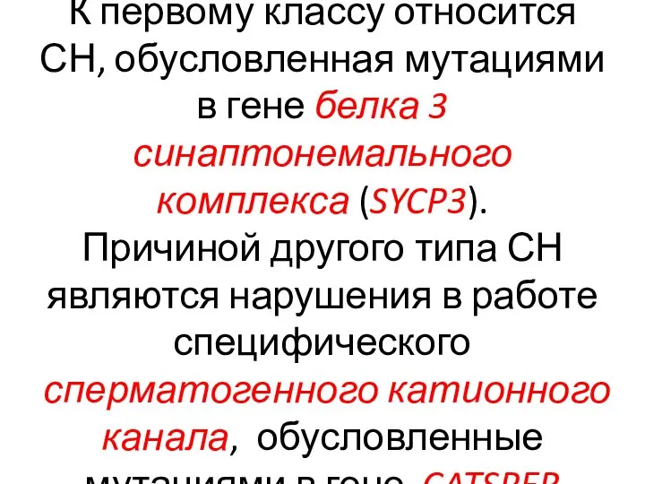 К первому классу относится СН, обусловленная мутациями в гене белка 3 синаптонемального