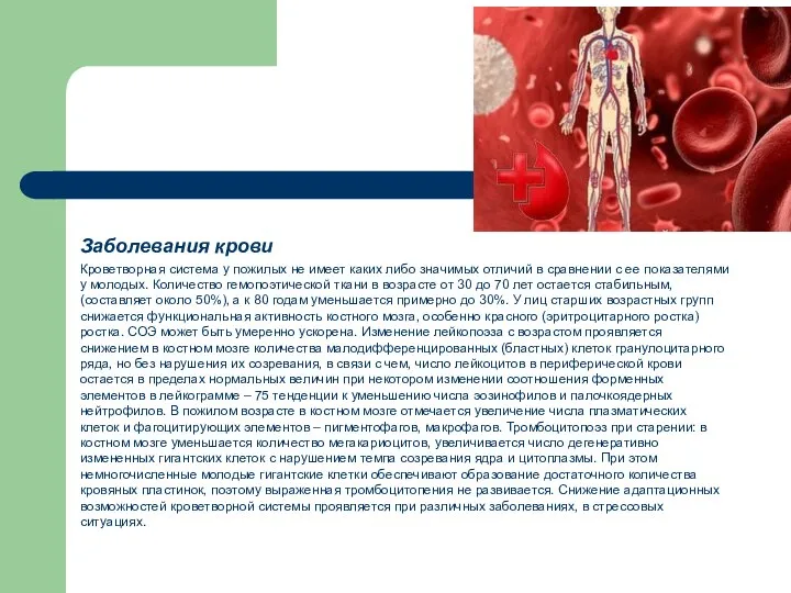 Заболевания крови Кроветворная система у пожилых не имеет каких либо значимых отличий