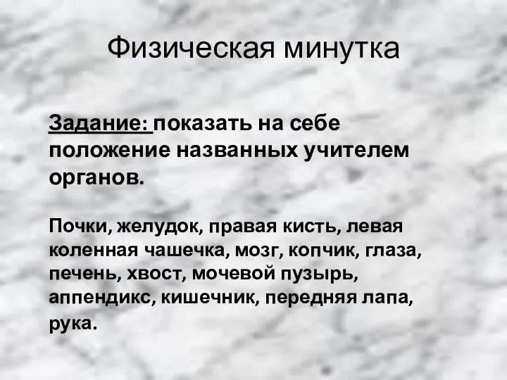 Физическая минутка Задание: показать на себе положение названных учителем органов. Почки, желудок,